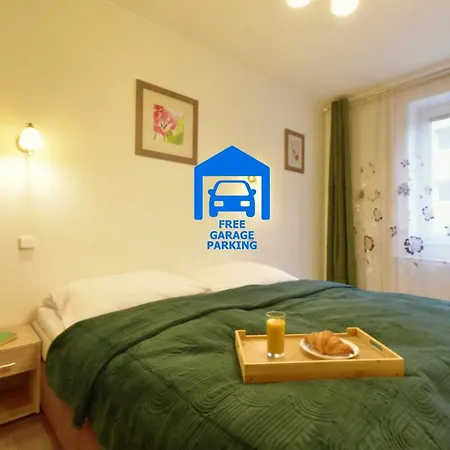 Karlsbad City Apartment * Karlovy Vary